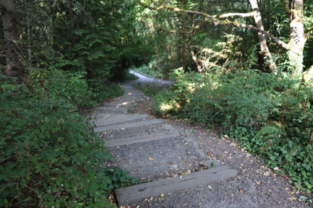 Stairs at trailhead that connect to gravel trail